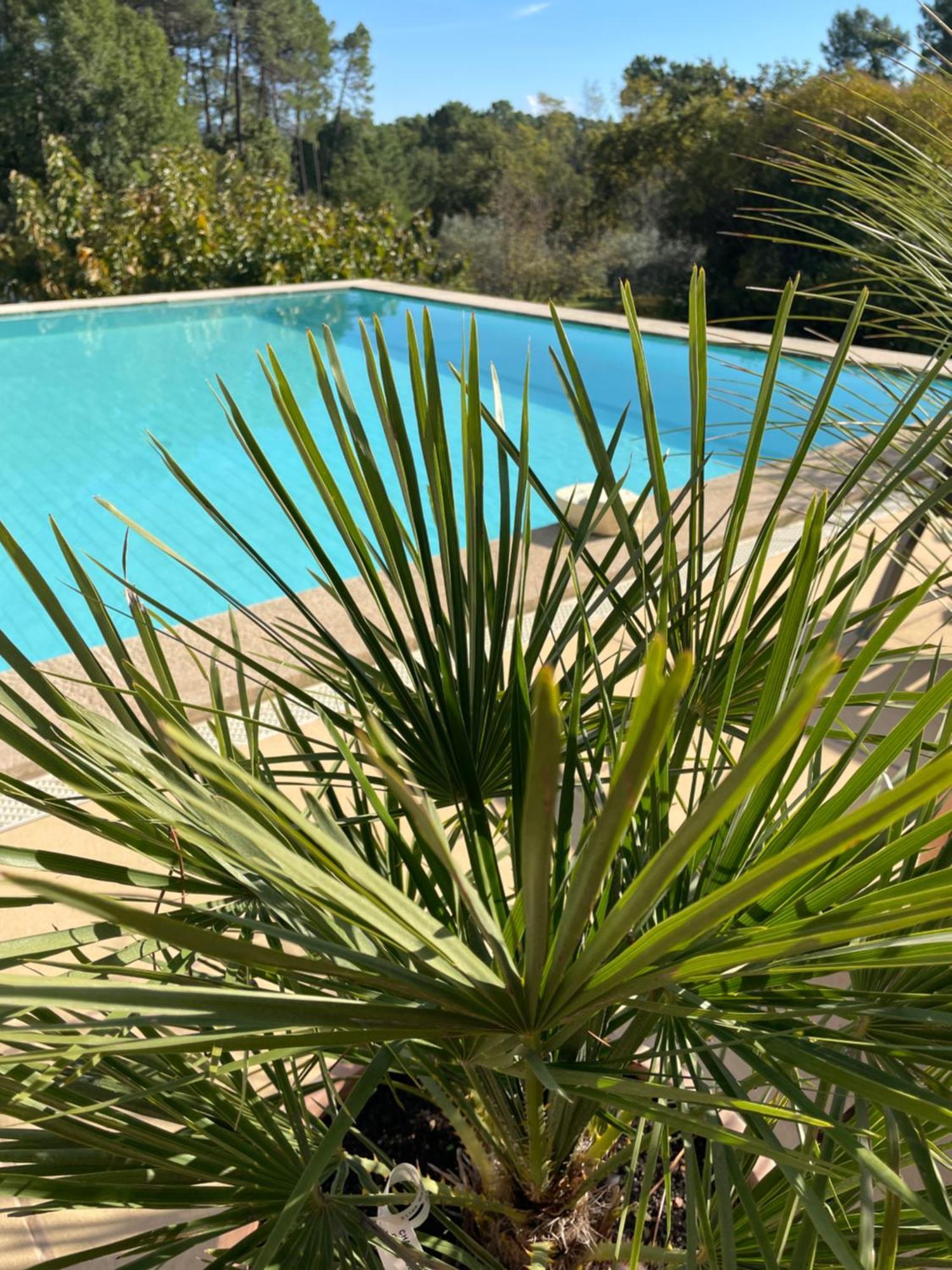 O Coeur Des Ocres Appartement