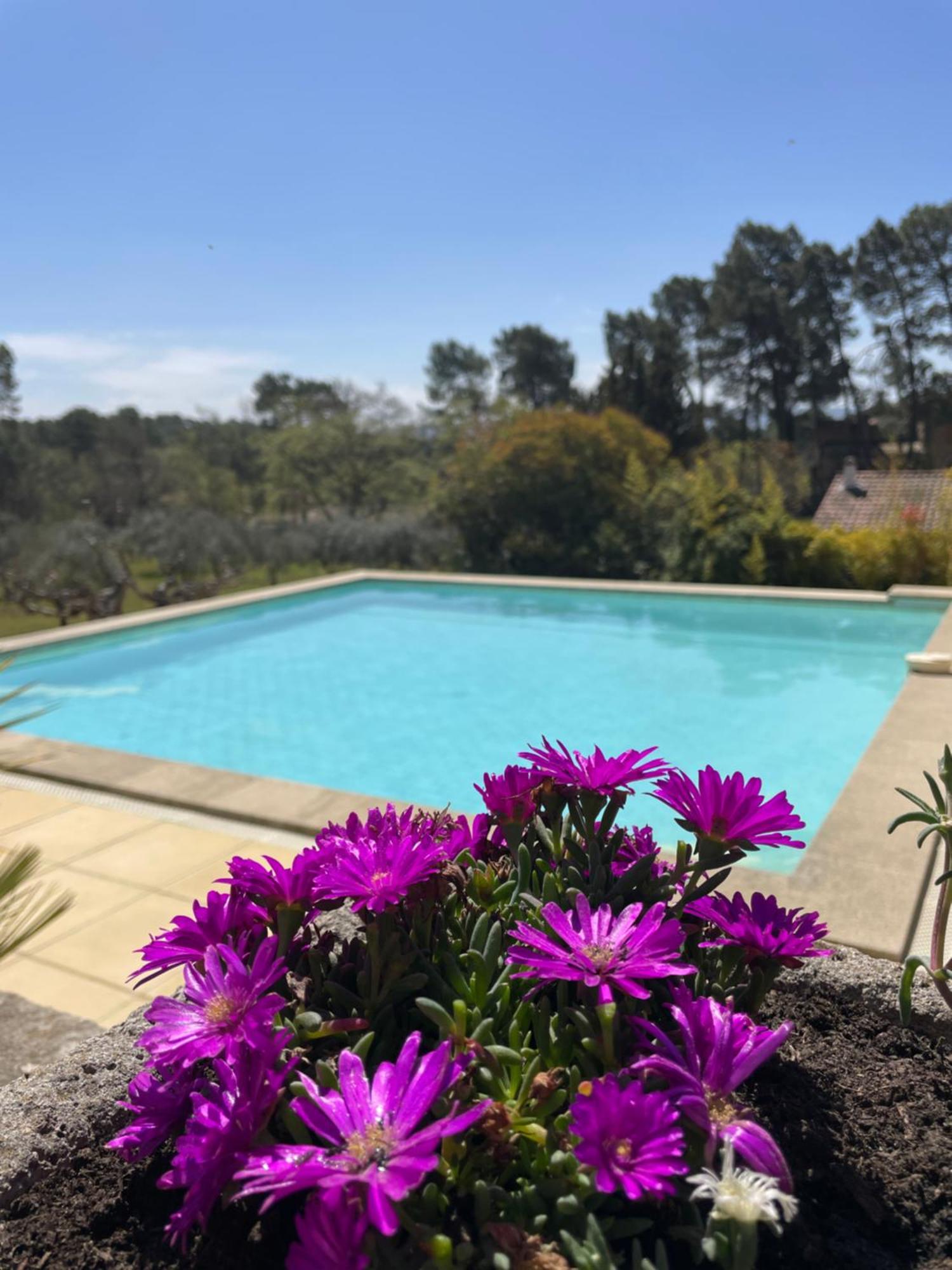 O Coeur Des Ocres * Roussillon (Vaucluse)